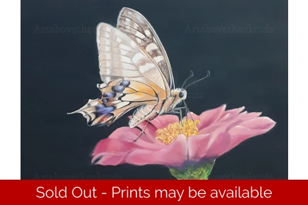 Mutualism 2 Original Oil Painting